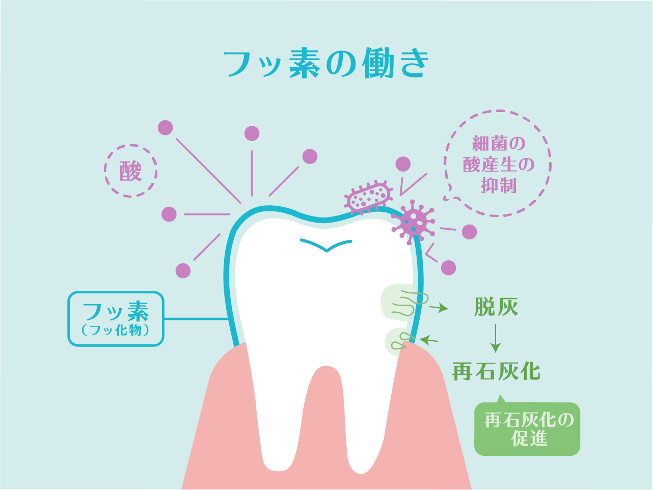 フッ素塗布　袖ケ浦まるやま歯科こども歯科